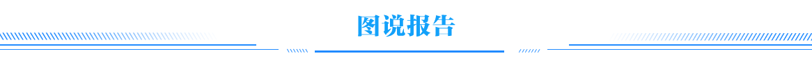 图说报告